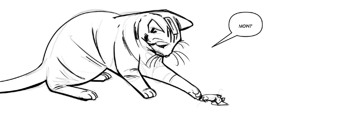 Catapulted issue one cat