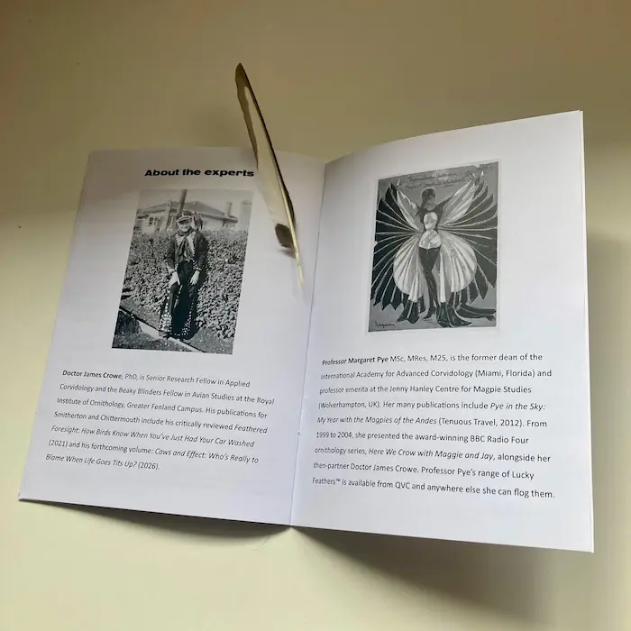 Inside "Magpies: Sorrow or Joy?"